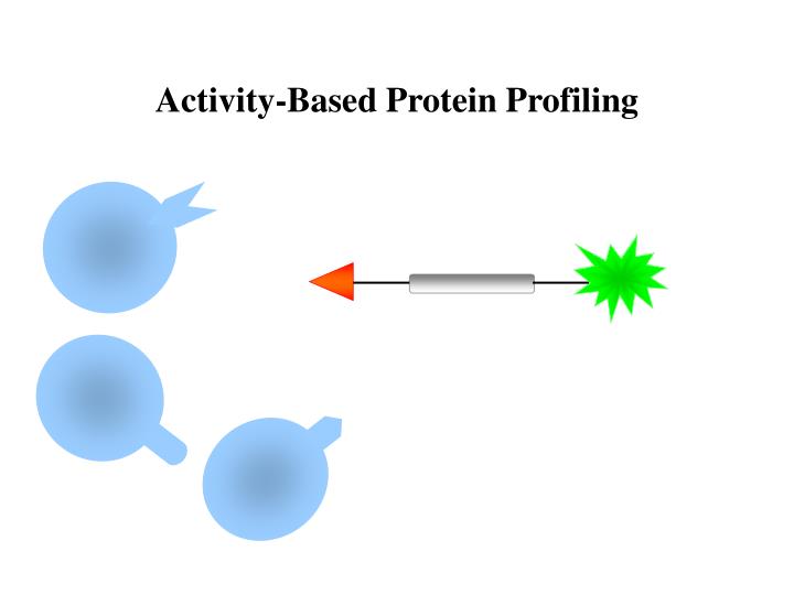 activity based protein profiling