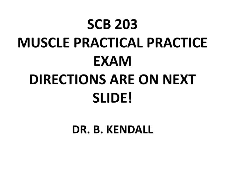 scb 203 muscle practical practice exam directions are on next slide dr b kendall