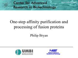 One-step affinity purification and processing of fusion proteins