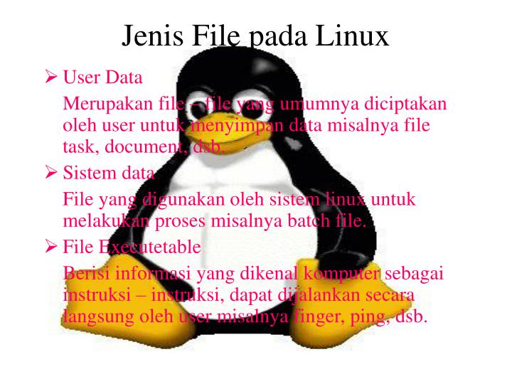 jenis file pada linux