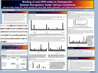 Binding of anti-OPN mAbs to Osteopontin: Epitope Recognition Under Various Conditions