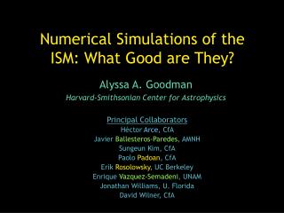 Numerical Simulations of the ISM: What Good are They?