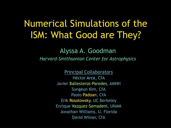 numerical simulations of the ism what good are they
