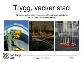 trygg vacker stad