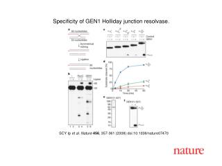 SCY Ip et al. Nature 456 , 357-361 (2008) doi:10.1038/nature07470