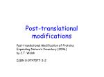 Post-translational modifications - slide 1