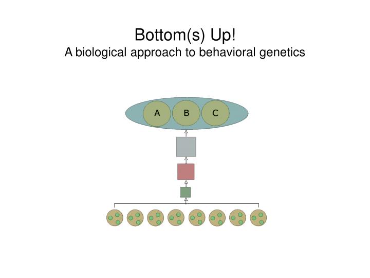 bottom s up a biological approach to behavioral genetics