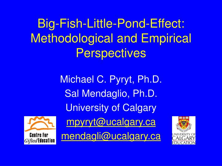 big fish little pond effect methodological and empirical perspectives