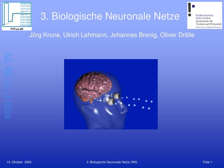 3 biologische neuronale netze