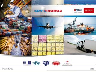 SDV HOROZ 20 13