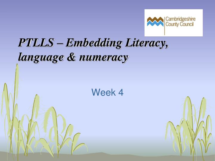 ptlls embedding literacy language numeracy