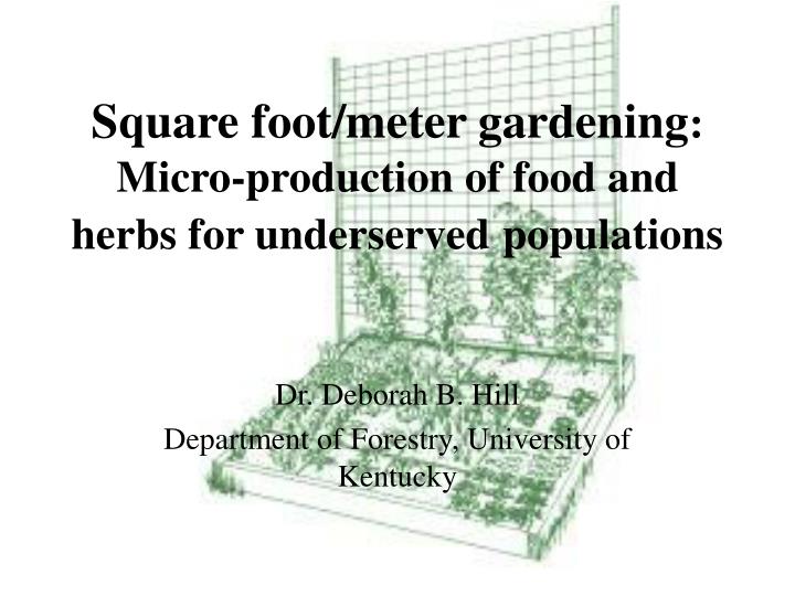 square foot meter gardening micro production of food and herbs for underserved populations