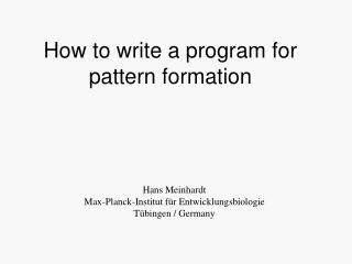 How to write a program for pattern formation