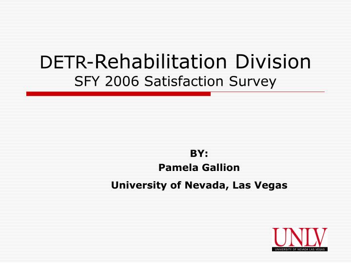 detr rehabilitation division sfy 2006 satisfaction survey