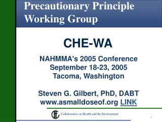 Precautionary Principle Working Group