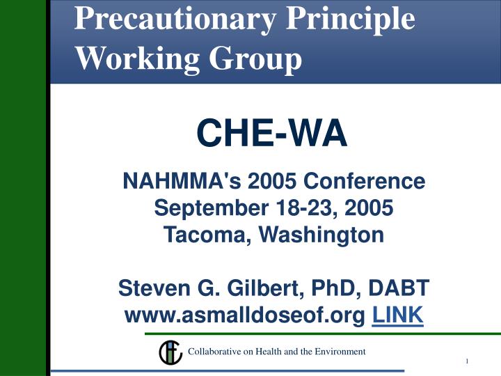 precautionary principle working group