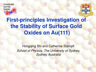 Hongqing Shi and Catherine Stampfl School of Physics, The University of Sydney, Sydney, Australia