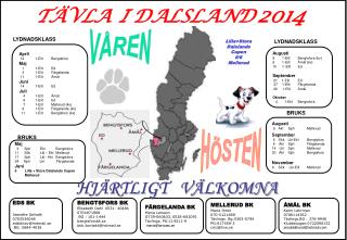 t vla i dalsland 2014