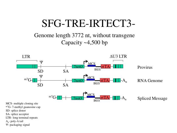 sfg tre irtect3