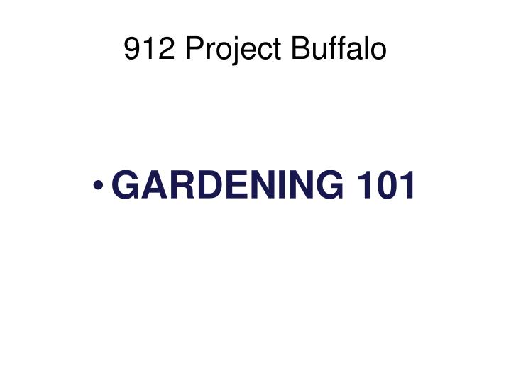 912 project buffalo