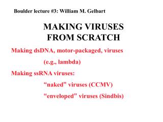 MAKING VIRUSES FROM SCRATCH