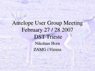 Antelope User Group Meeting February 27 / 28 2007 DST Trieste