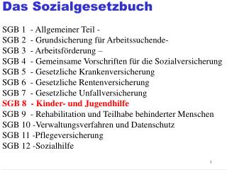 das sozialgesetzbuch