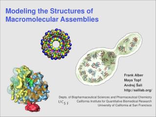Modeling the Structures of Macromolecular Assemblies