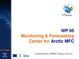 WP 05 Monitoring &amp; Forecasting Center for Arctic MFC