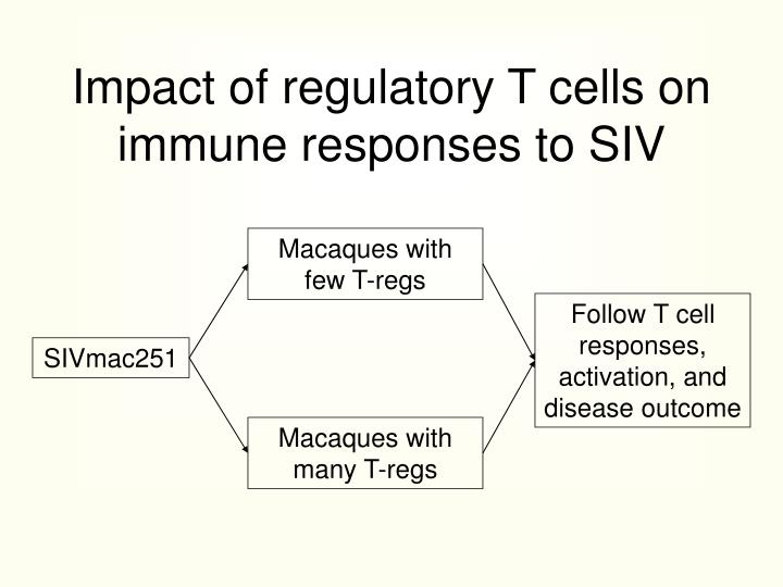 impact of regulatory t cells on immune responses to siv