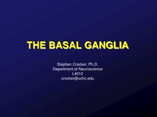 THE BASAL GANGLIA