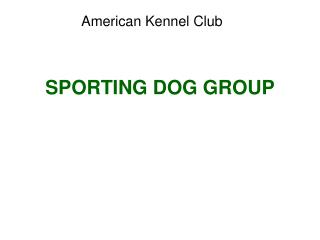 SPORTING DOG GROUP