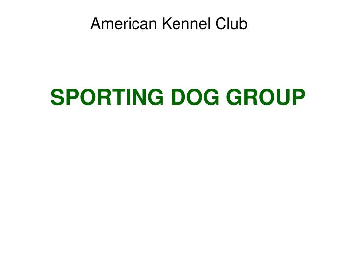 sporting dog group