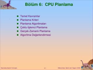 b l m 6 cpu planlama