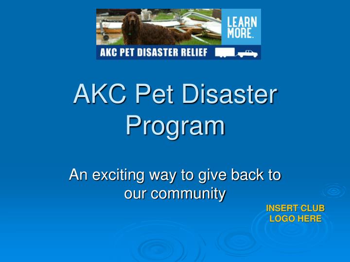 akc pet disaster program