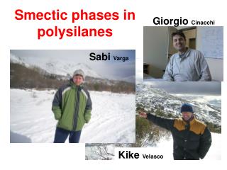 Smectic phases in polysilanes