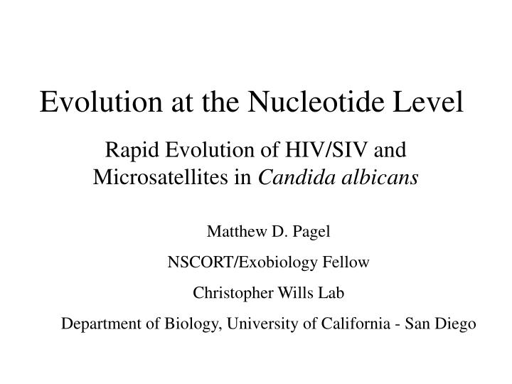 evolution at the nucleotide level