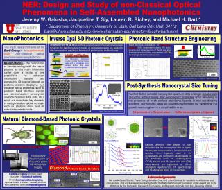 NER: Design and Study of non-Classical Optical