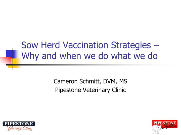 sow herd vaccination strategies why and when we do what we do