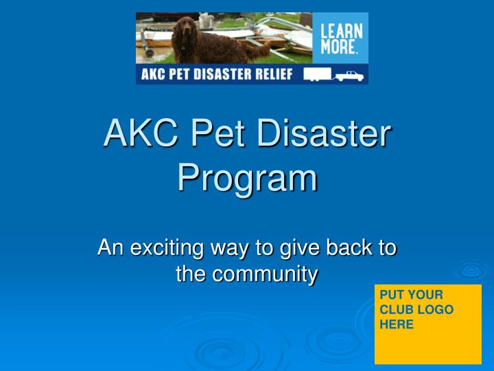 akc pet disaster program