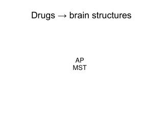 Drugs ? brain structures