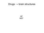 Drugs → brain structures