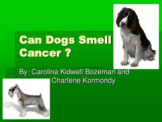 Can Dogs Smell Cancer ?