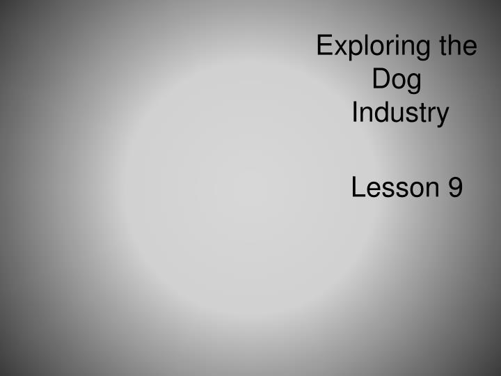 exploring the dog industry