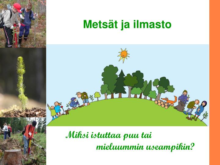 mets t ja ilmasto