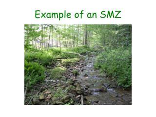 Example of an SMZ