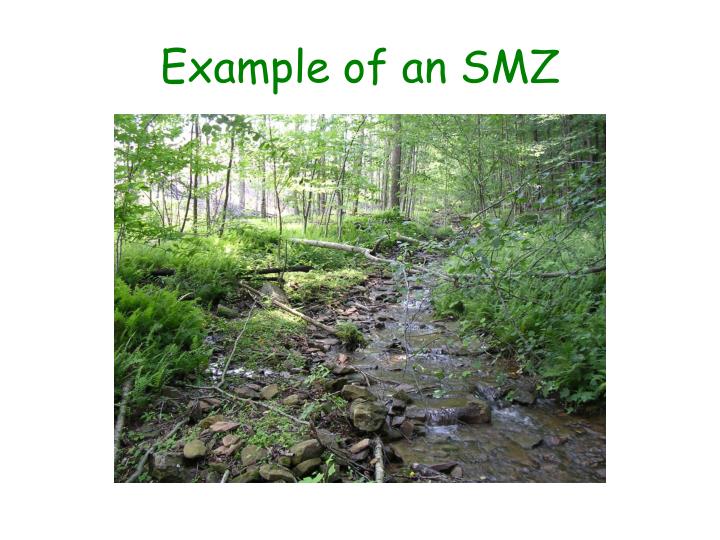 example of an smz