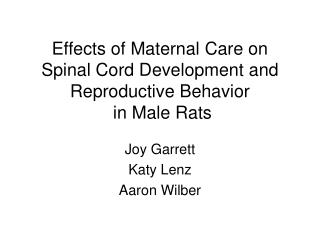 Effects of Maternal Care on Spinal Cord Development and Reproductive Behavior in Male Rats