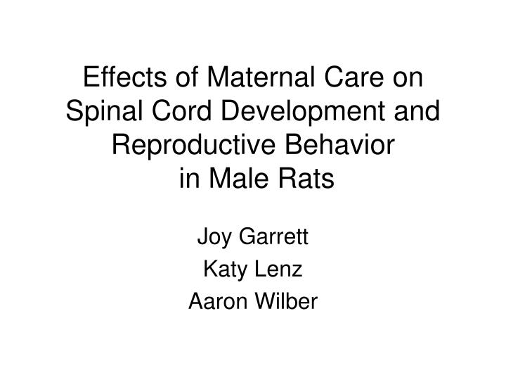 effects of maternal care on spinal cord development and reproductive behavior in male rats