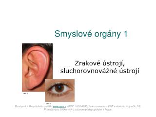 smyslov org ny 1